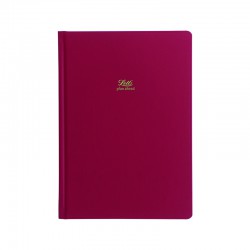 Icon A5 5 year Diary Red